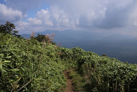 a0158702_15530183.jpg