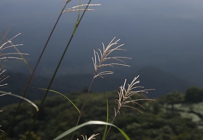 a0158702_15532470.jpg