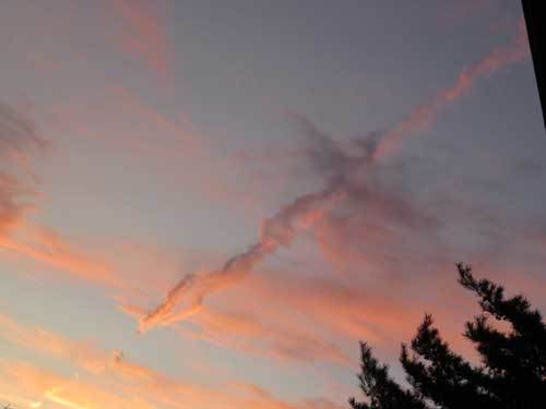 e0001110_12112782.jpg