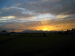 a0363825_20380903.jpg