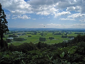 a0363825_20422442.jpg