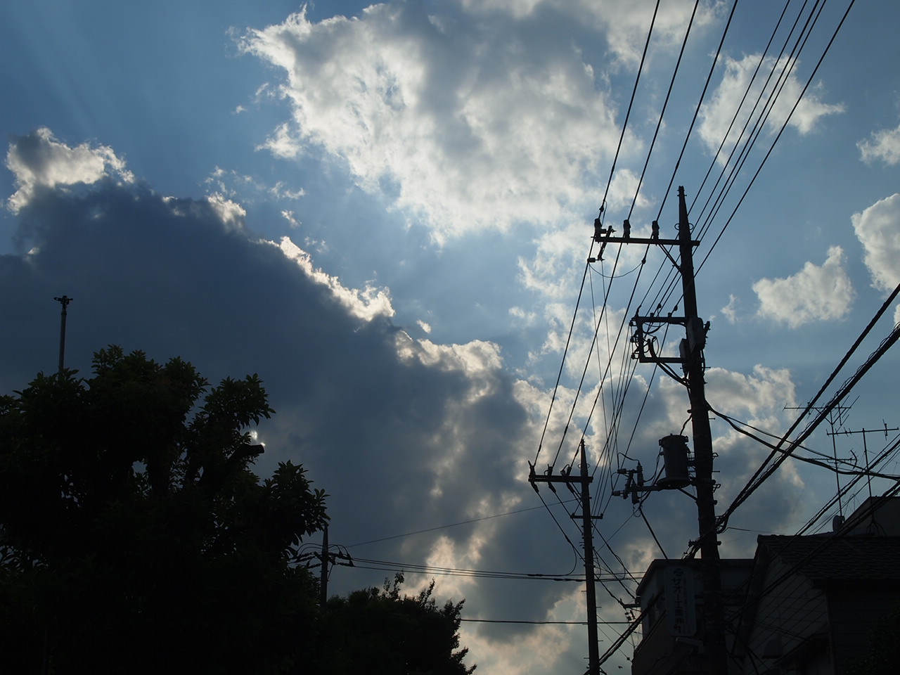 a0214329_11293825.jpg
