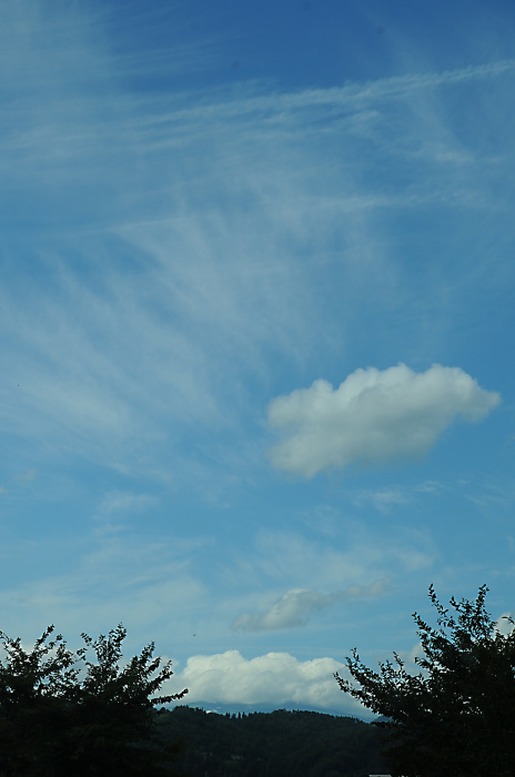 c0172234_23030573.jpg