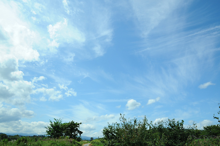 c0172234_23030835.jpg