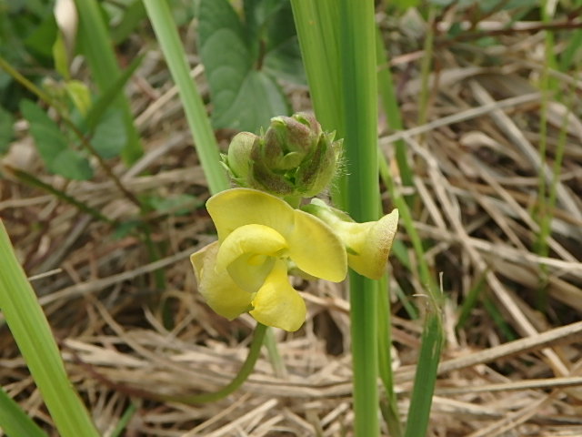 f0334143_6551848.jpg