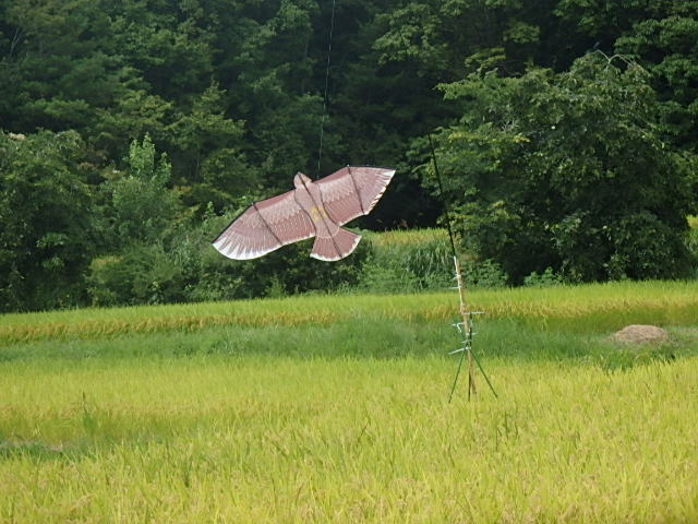 f0334143_6565797.jpg