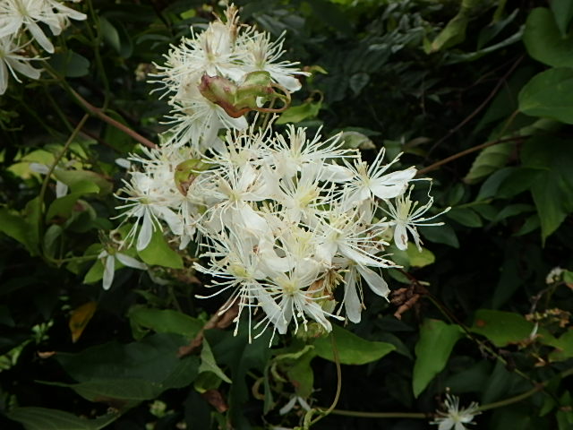 f0334143_658210.jpg