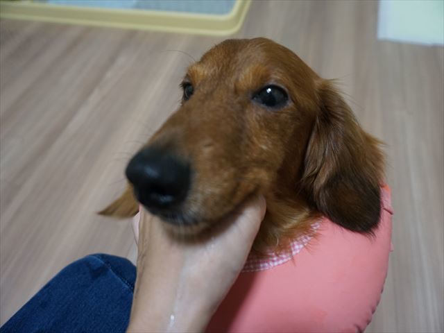 d0336846_21501355.jpg