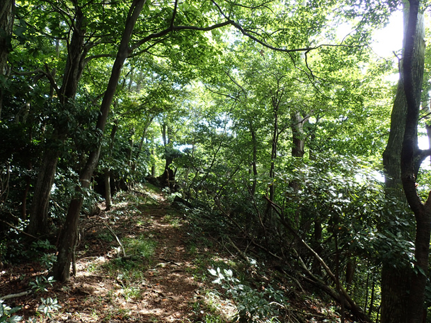 f0214649_03321227.jpg