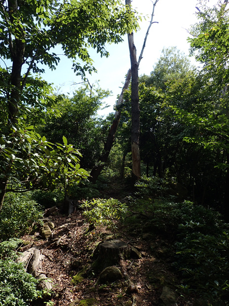 f0214649_03323140.jpg
