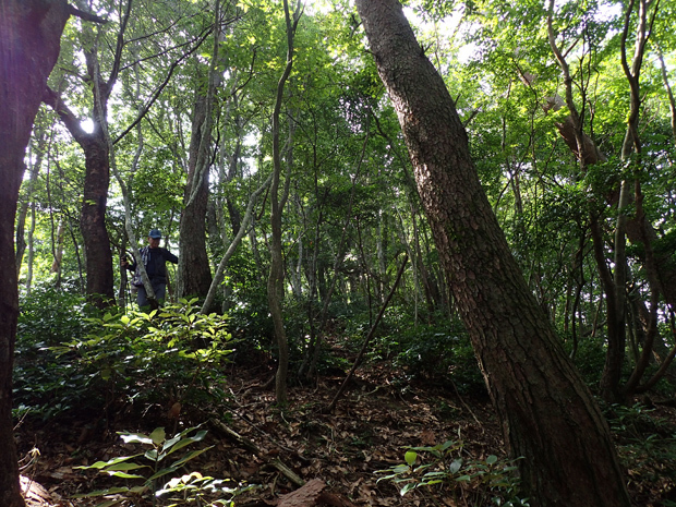 f0214649_03492972.jpg