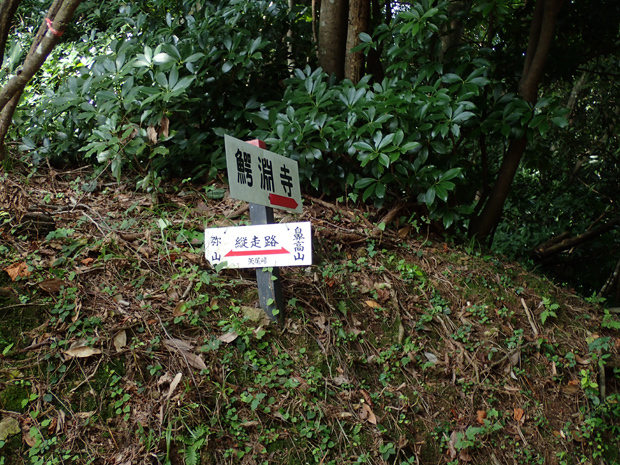 f0214649_03515438.jpg