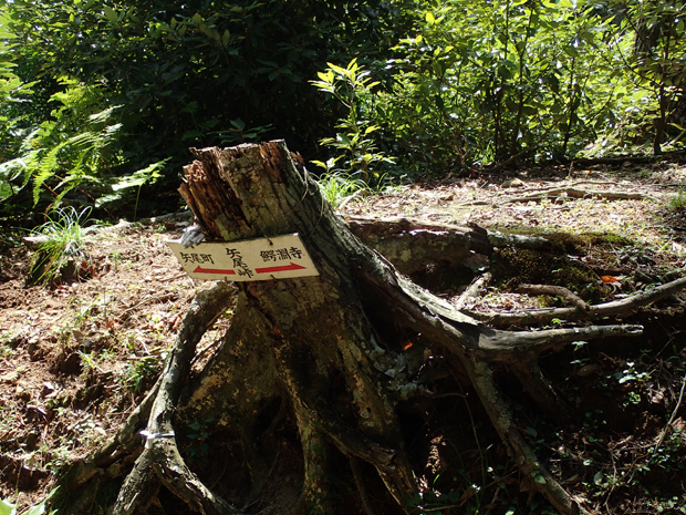 f0214649_03515459.jpg