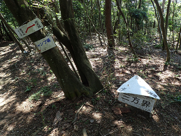 f0214649_03585907.jpg