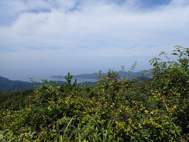 f0214649_04110347.jpg