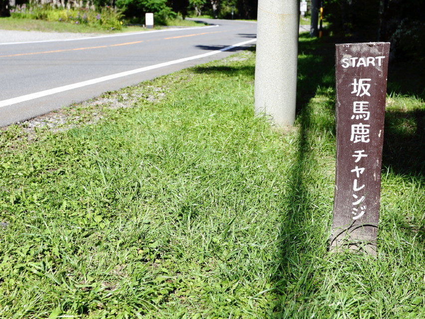 b0078651_00085373.jpg