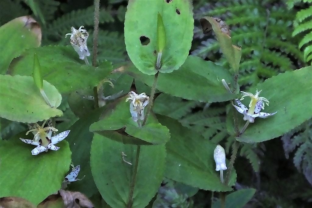 b0236251_11305651.jpg