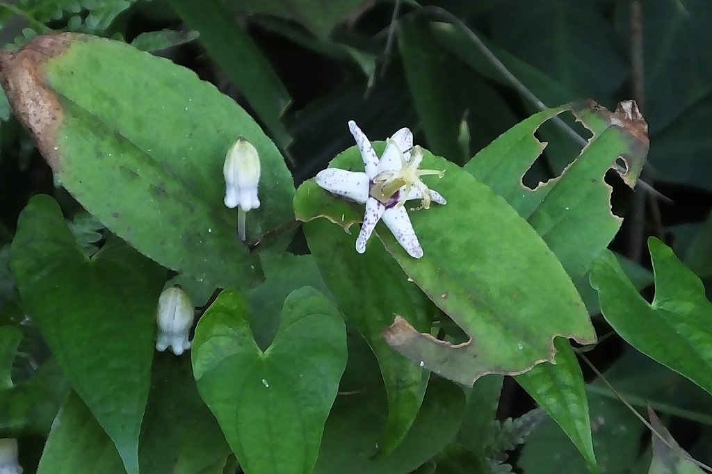 b0236251_11310010.jpg