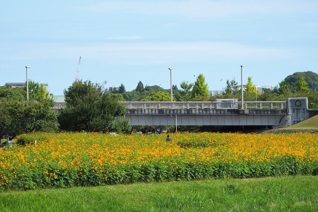 b0236251_14374245.jpg