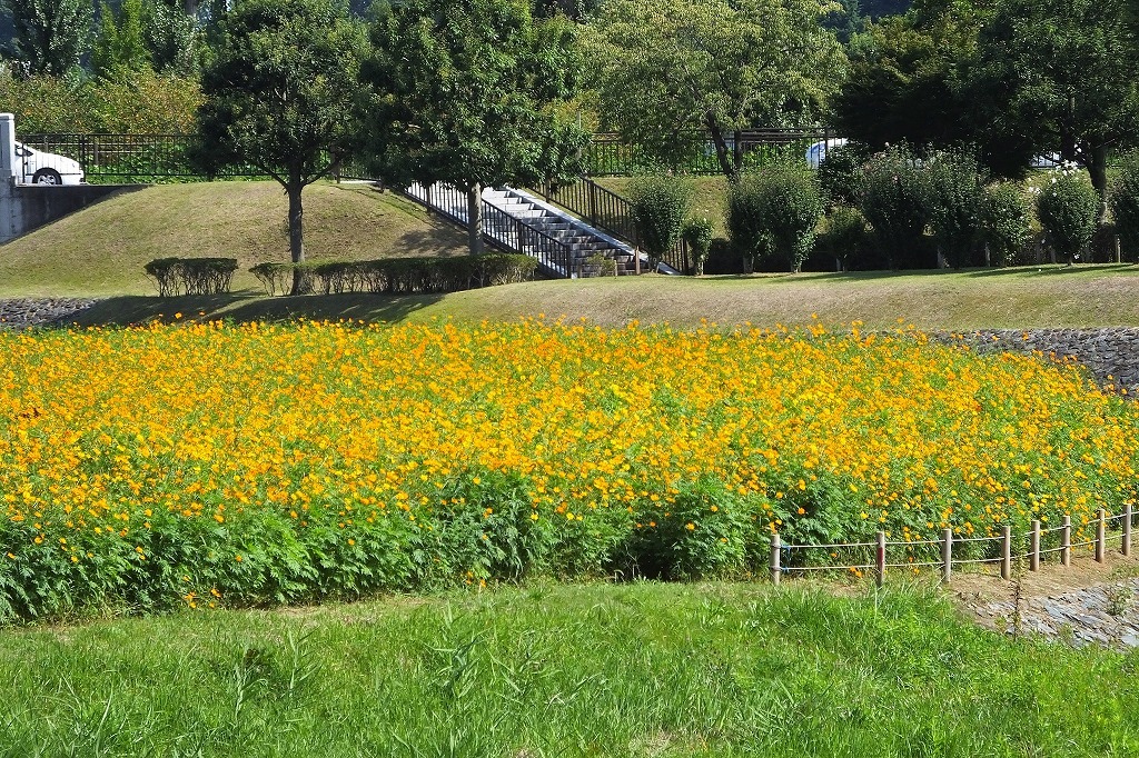 b0236251_14375537.jpg