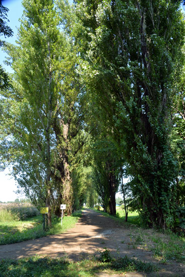 b0016557_6393563.jpg