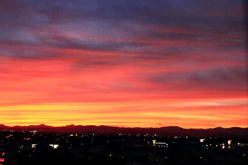 a0167759_1730124.jpg