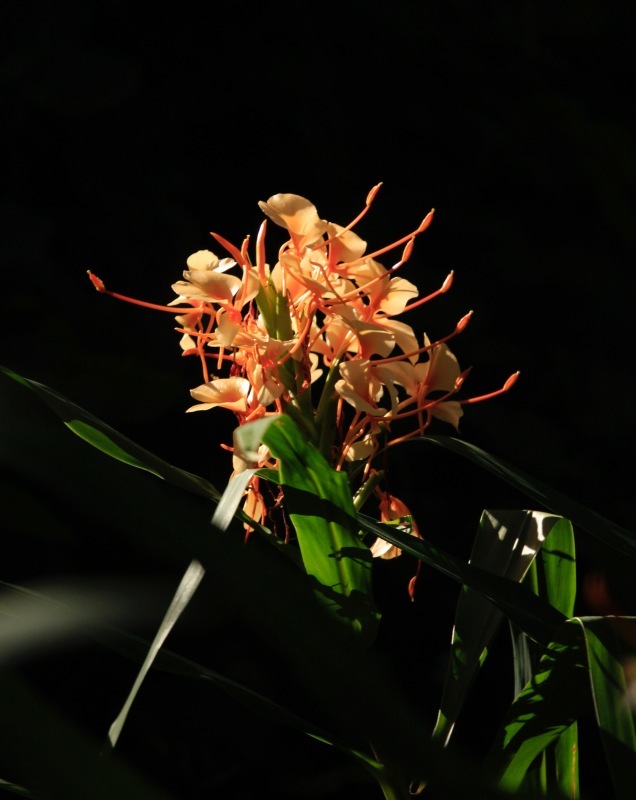 a0248459_14344001.jpg