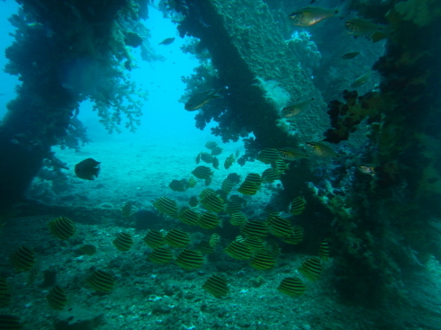 b0075059_20100302.jpg