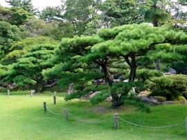 b0160363_23541465.jpg