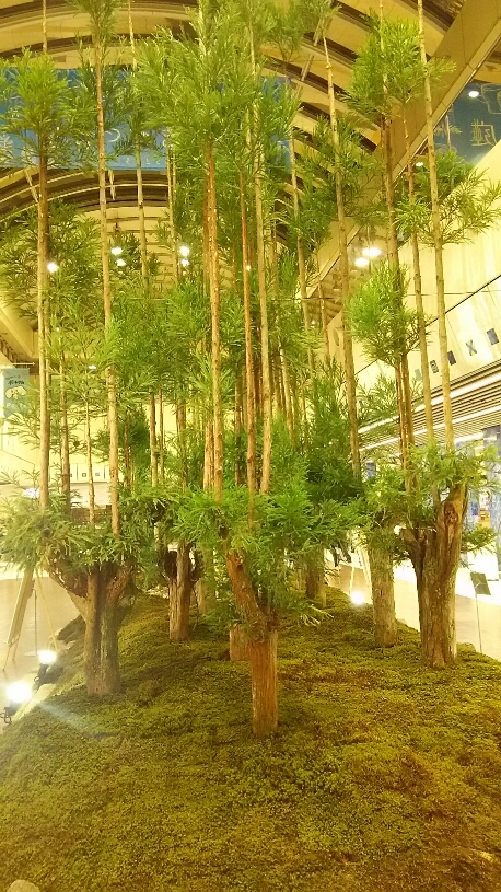 d0052263_07143100.jpg