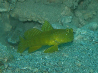b0033573_23362393.jpg