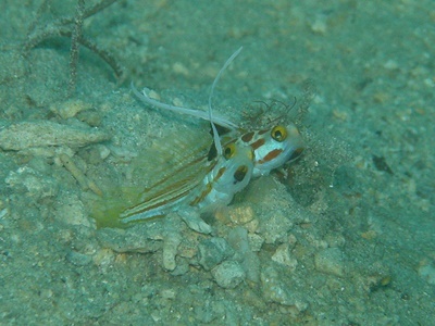 b0033573_23365405.jpg