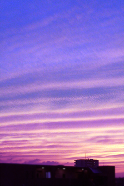e0137277_448959.jpg