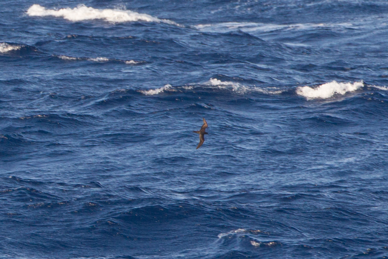 a0052080_21373376.jpg