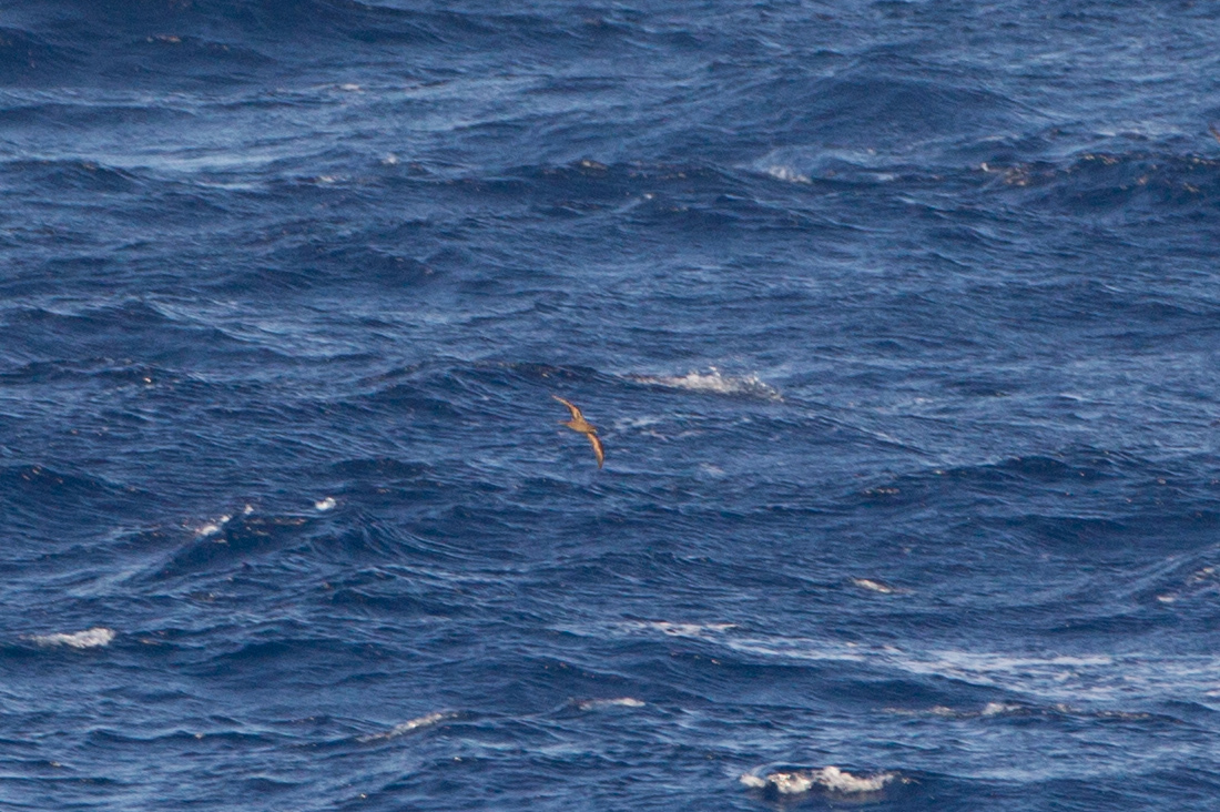 a0052080_21392684.jpg