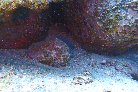 b0137083_2049784.jpg