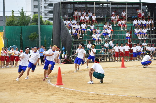 a0134886_19385026.jpg