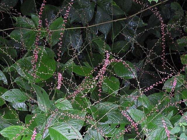 f0357487_16314457.jpg