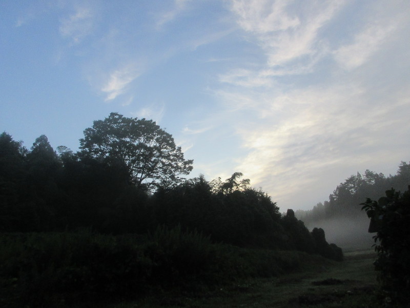e0373688_19363871.jpg