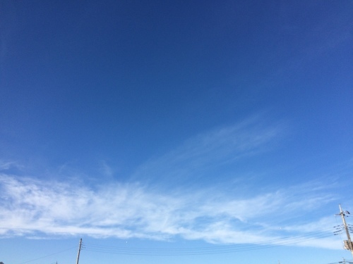 f0215094_16171302.jpg