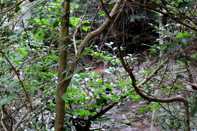 f0325295_10471073.jpg