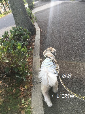 f0372998_19572227.jpg
