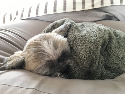 f0372998_20130941.jpg