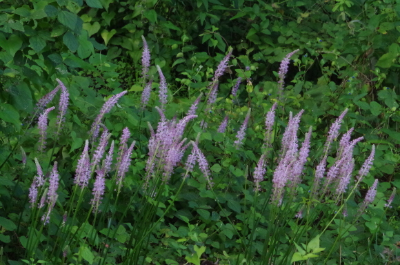 b0356401_20545058.jpg