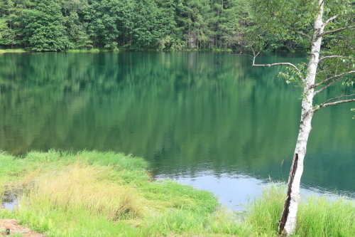 e0146907_14165878.jpg