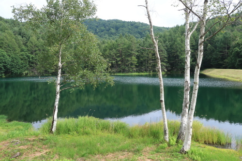 e0146907_14173687.jpg