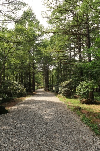 e0146907_14270101.jpg