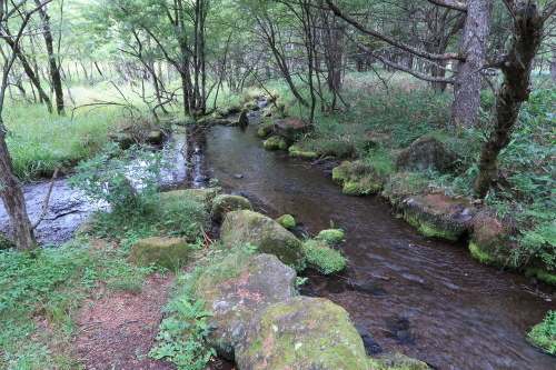 e0146907_14280015.jpg