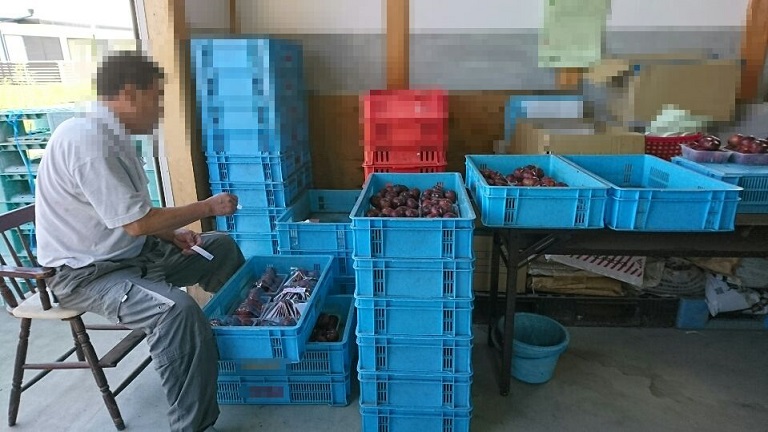 f0228619_17291524.jpg