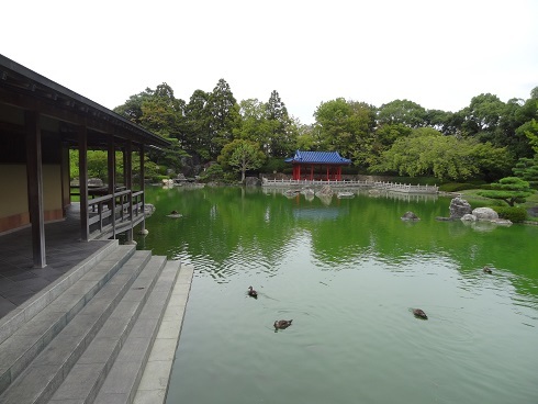 f0000521_18501135.jpg